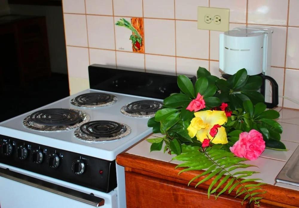 Hotel Ecological Inn Σαν Χοσέ Εξωτερικό φωτογραφία
