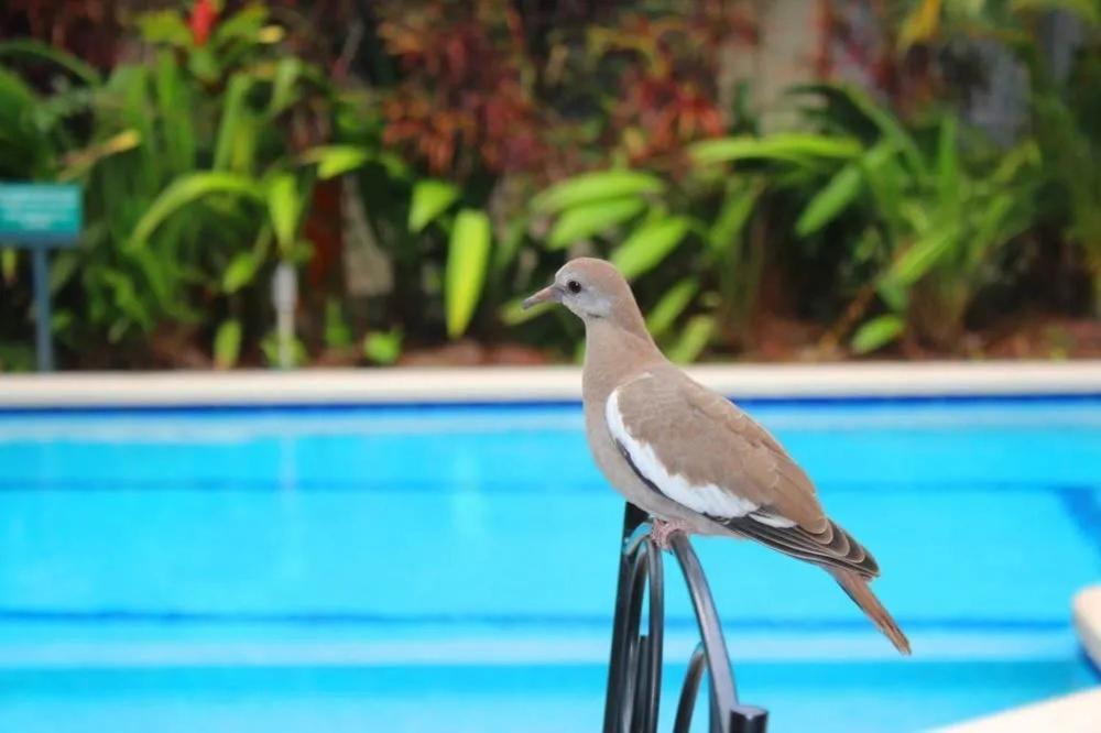 Hotel Ecological Inn Σαν Χοσέ Εξωτερικό φωτογραφία