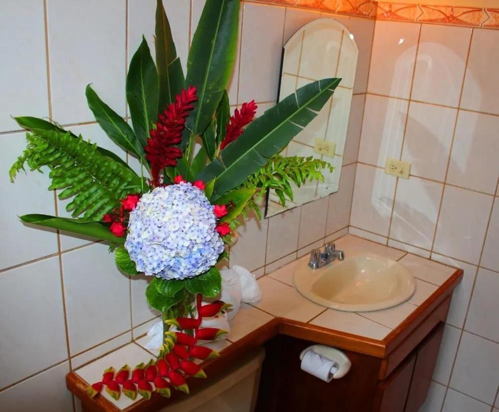 Hotel Ecological Inn Σαν Χοσέ Εξωτερικό φωτογραφία