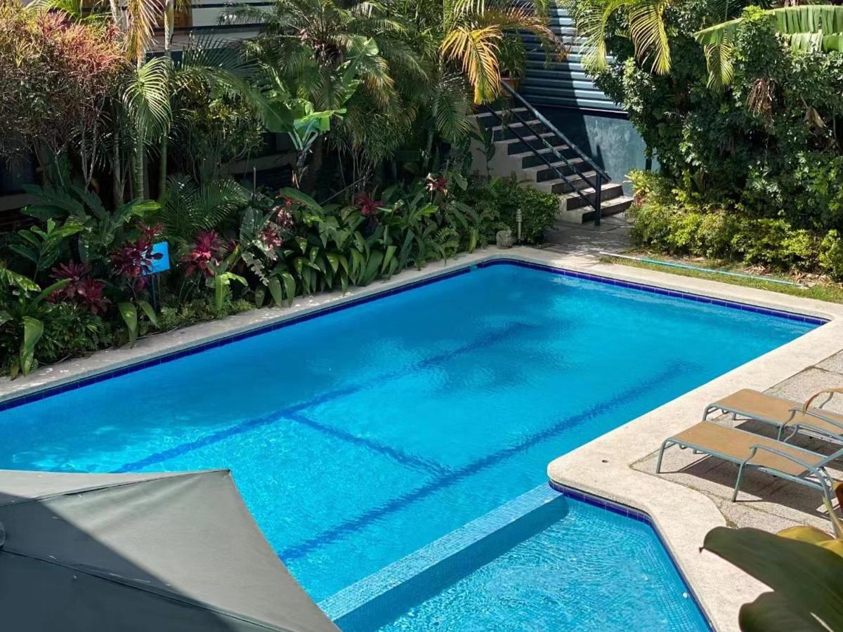 Hotel Ecological Inn Σαν Χοσέ Εξωτερικό φωτογραφία